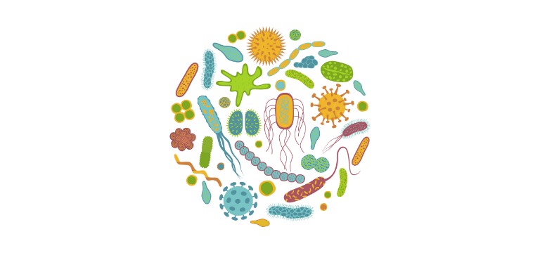 Microbiota faríngea - Apoteca Natura