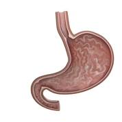 Gastritis - Apoteca Natura