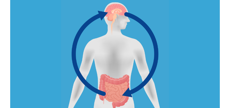 Eje intestino-cerebro - Apoteca Natura