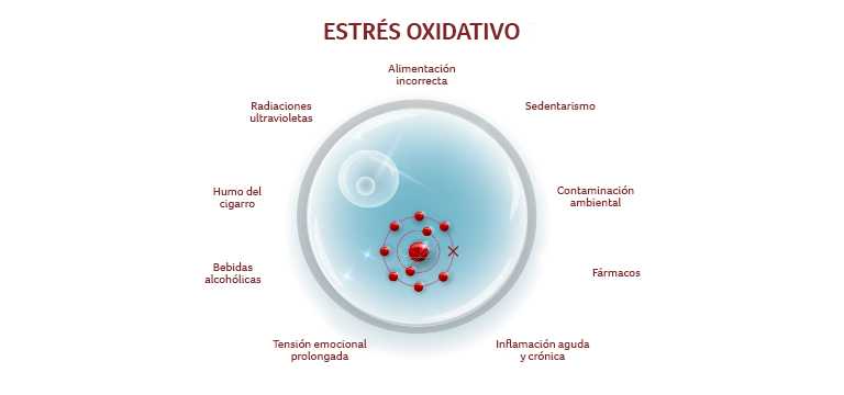 Factores que favorecen el estrés oxidativo - Apoteca Natura