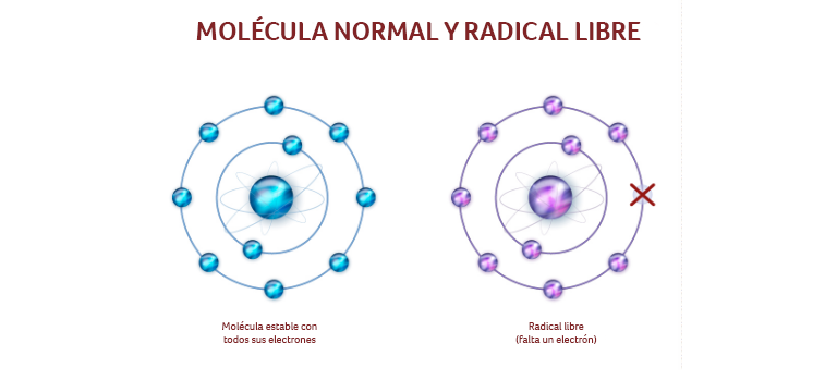 ¿Qué son los radicales libres? - Apoteca Natura