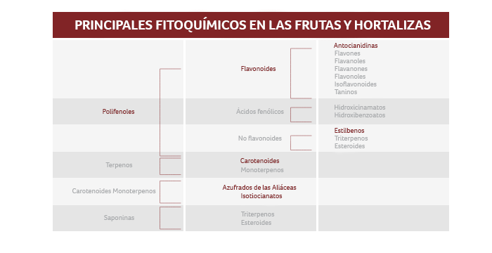 polifenoles - Apoteca Natura