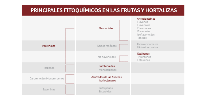 ¿Qué son los polifenoles? - Apoteca Natura