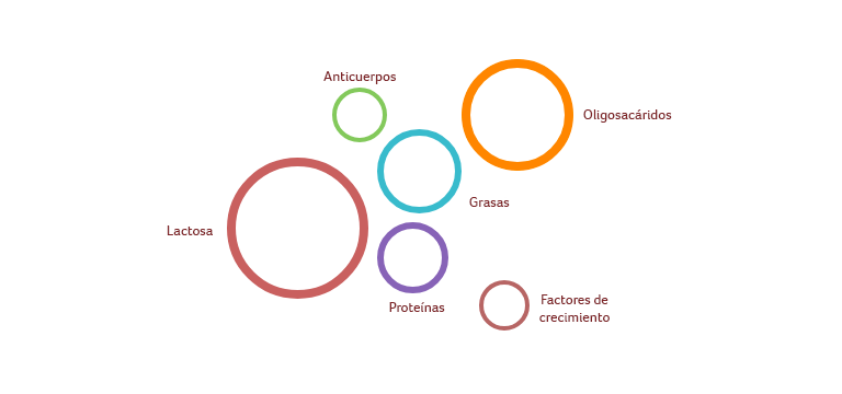 Composición de la leche materna - Apoteca Natura