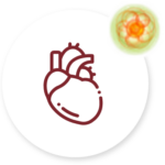 Menopausia - Apoteca Natura