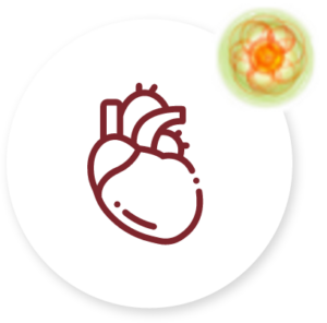 Hipertensión arterial - Apoteca Natura