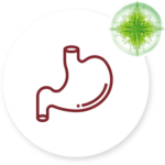 Menopausia - Apoteca Natura